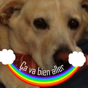 Meet your Posher, Katy